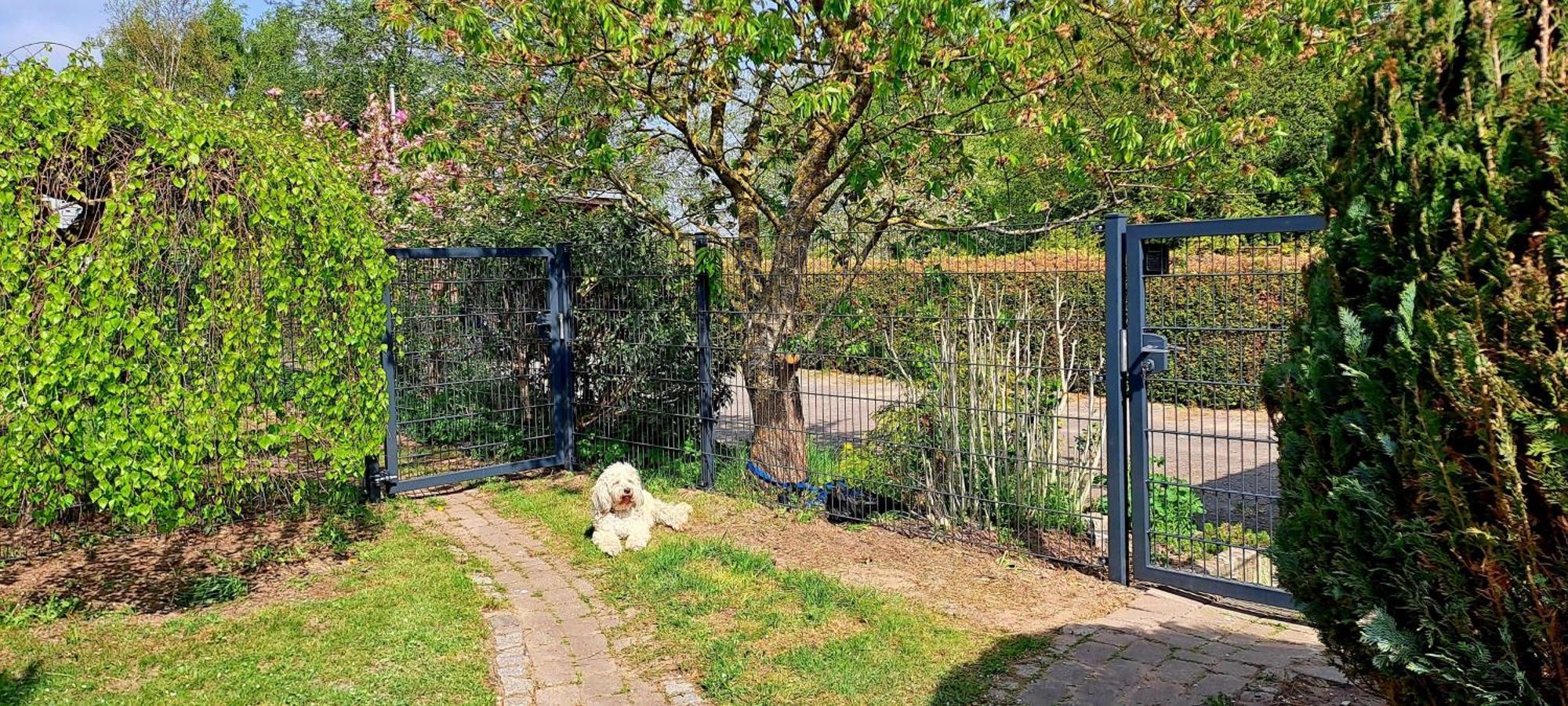 Fewo Sonne Роверсхаген Екстериор снимка
